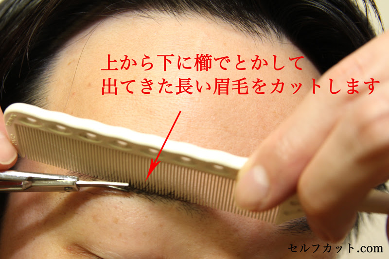 男の眉毛カットのやり方 メンズセルフカット Com
