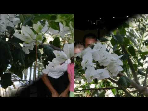 Lillyland Beach Club 4*