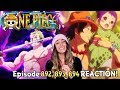 [最も欲しかった] one piece 892 165155-One piece 892 wiki