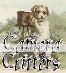 Camera Critters