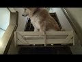 最高のコレクション 犬 スロープ diy 290333-ウッドデッキ スロープ 犬 diy
