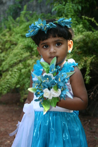 blue flowers wedding. lue flowers wedding photo