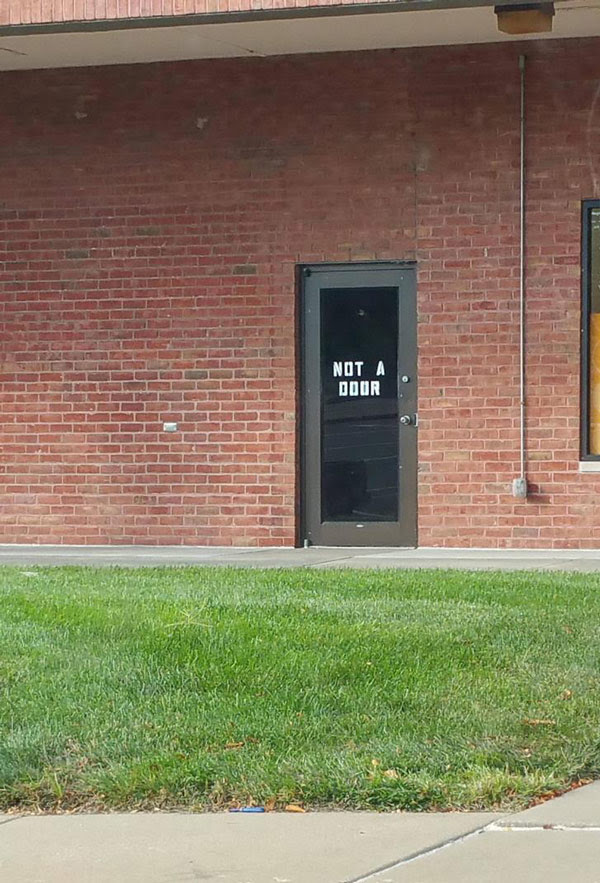 Trying to figure out what I saw today