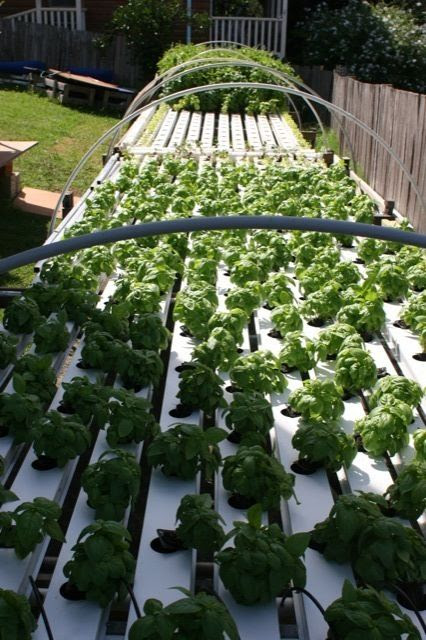 Aquaponics setup instructions ~ Waters sistem