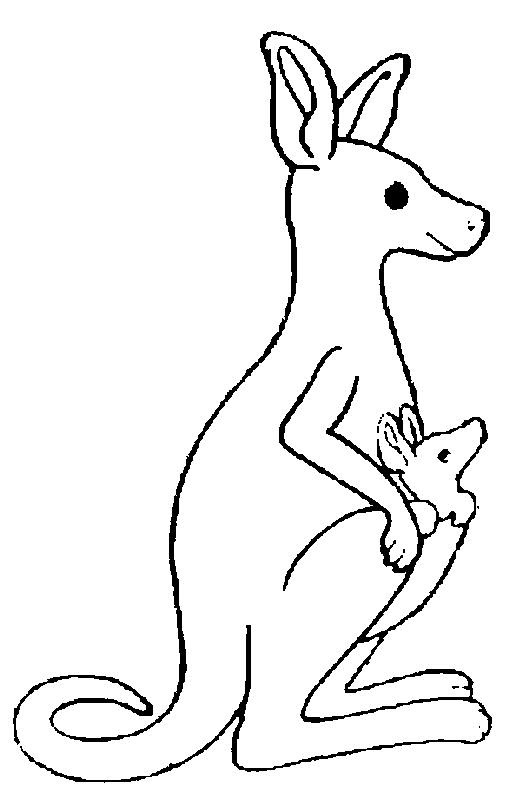 Download Download free printable kangaroo colouring pages ideas for ...