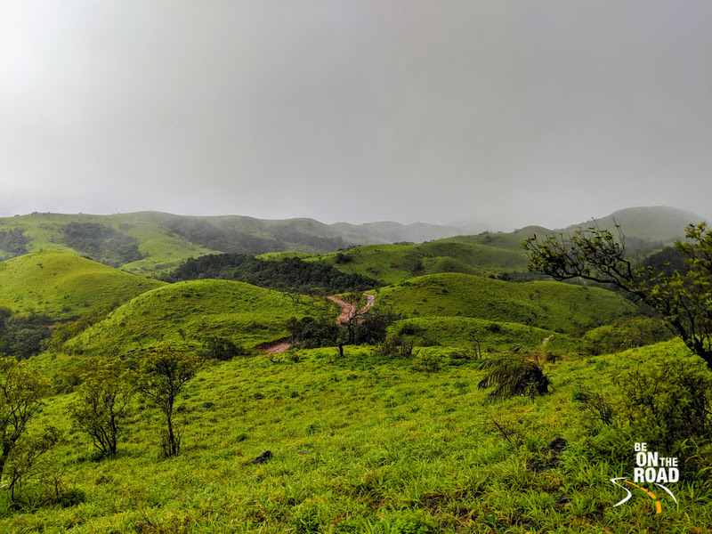 Rolling hills of Kaginhare Forest, Malnad, Karnataka