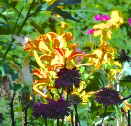 DSC00318 - Version 2