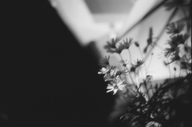 Nikon FE10 #94-14