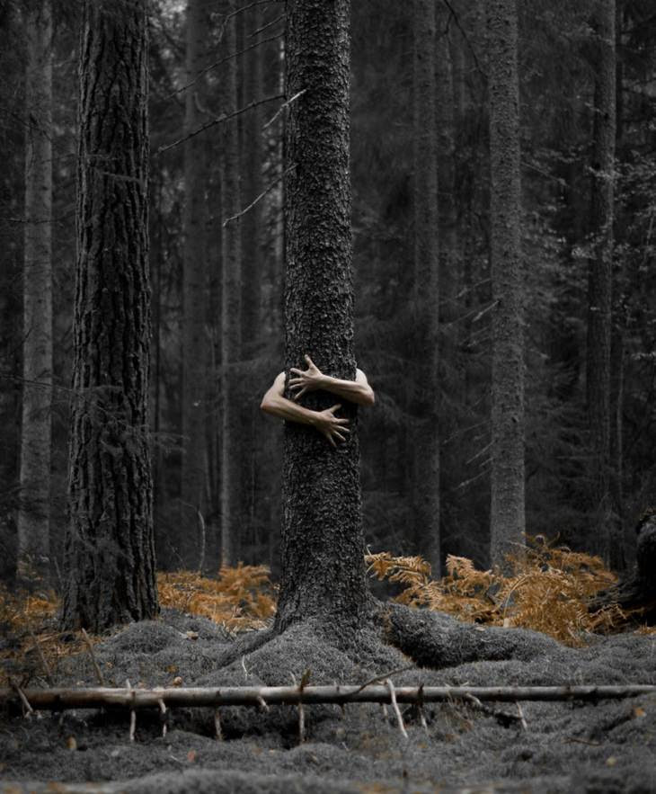 beleza inverno na suécia