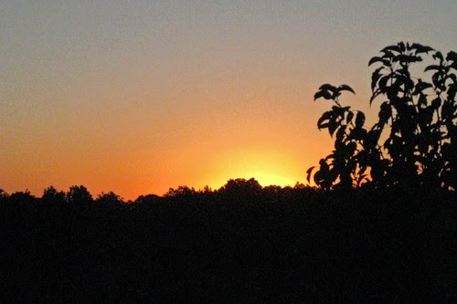 Eureka Sunrise