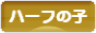 にほんブログ村 子育てブログ ハーフの子へ