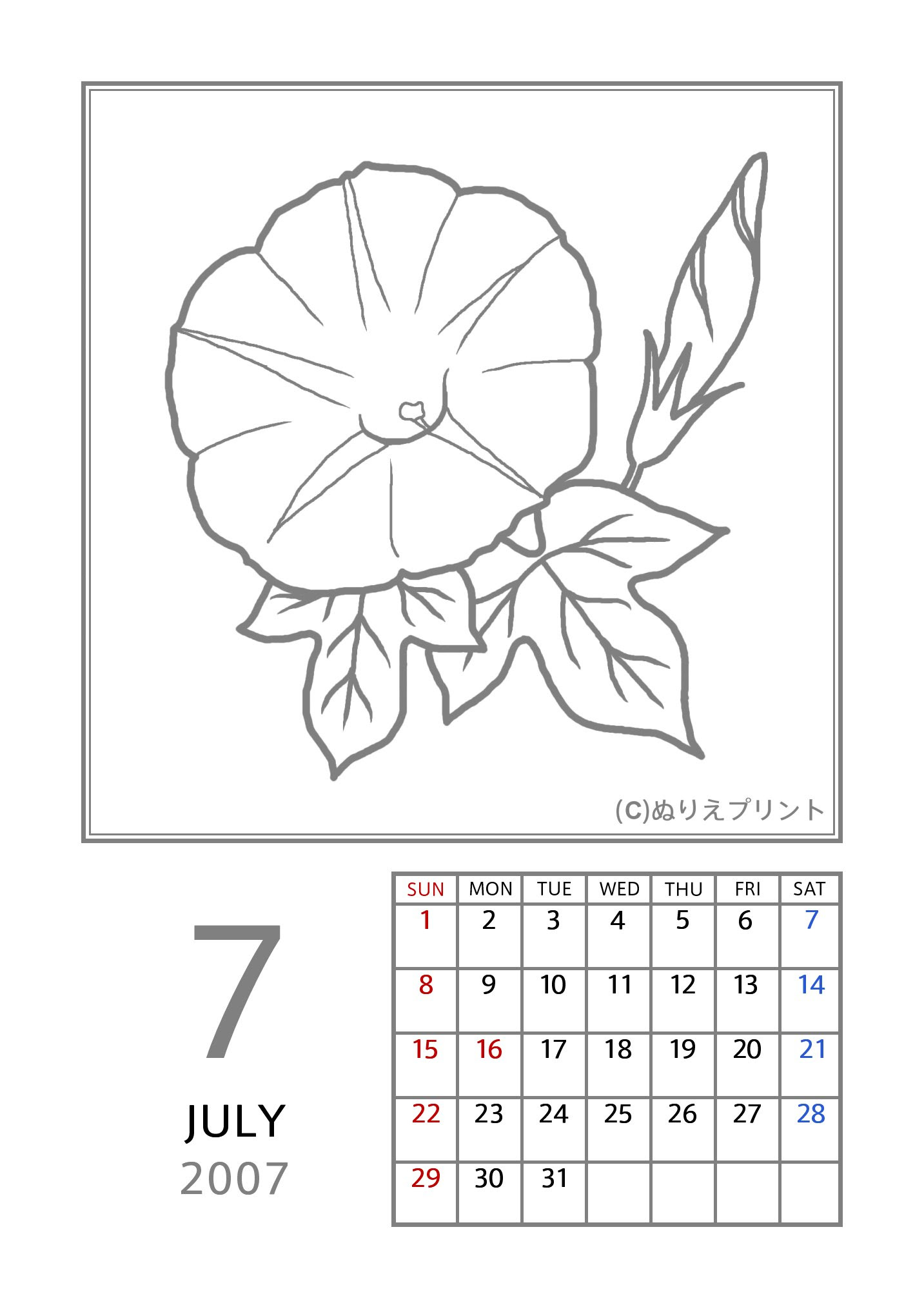 7月 アサガオ 朝顔 グレー 07 平成19年 花のぬりえカレンダー 無料 フリー ぬりえプリント