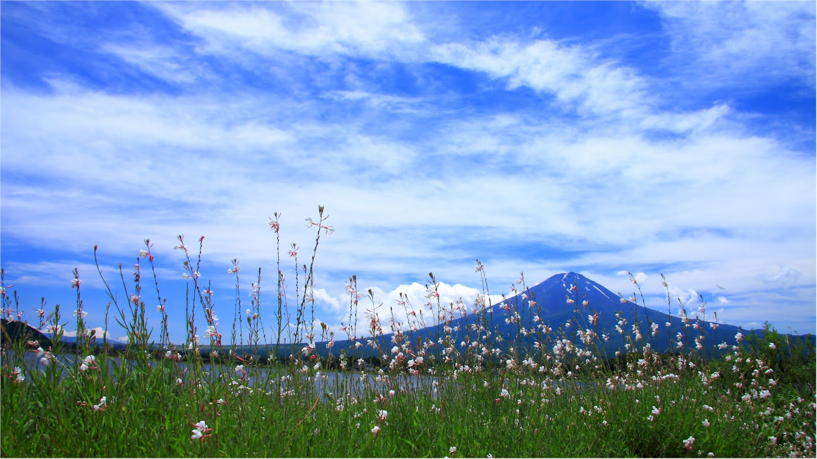 富士山の無料壁紙のページ 河口湖と富士山