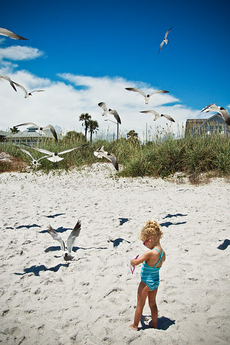 070510_feeding_gulls.jpg