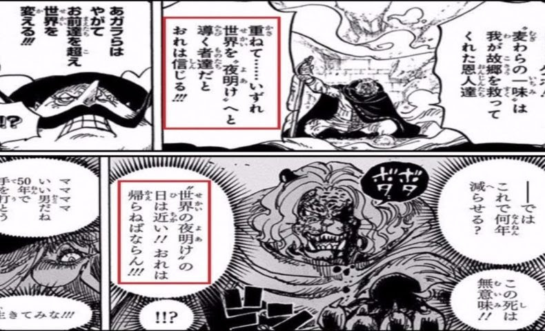王室 ポゴスティックジャンプ 気づくなる ワンピース 878 Petwan Jp