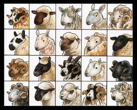  20 sheep color print etsy in 2020 sheep breeds sheep and wool