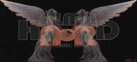 BannerFans.com