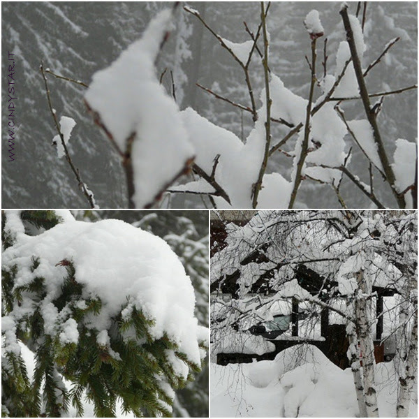 nevicata 8 genn.
