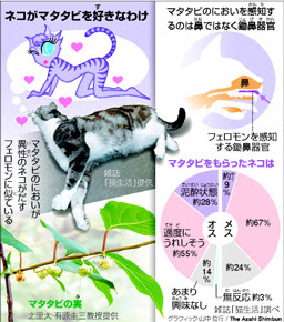 ｎｉｅ教育に新聞を 朝日新聞社インフォメーション