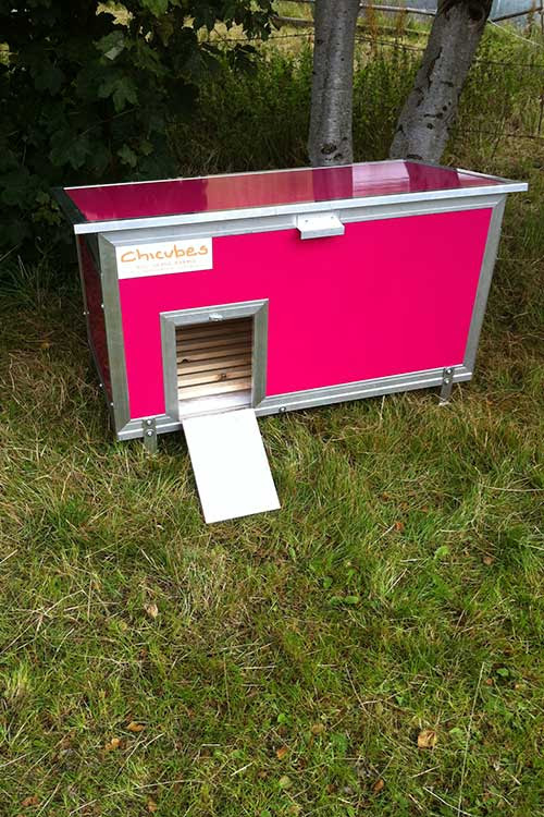 ... Chicubes Plastic Chicken House for 6 Hens Hot Pink” Cancel reply