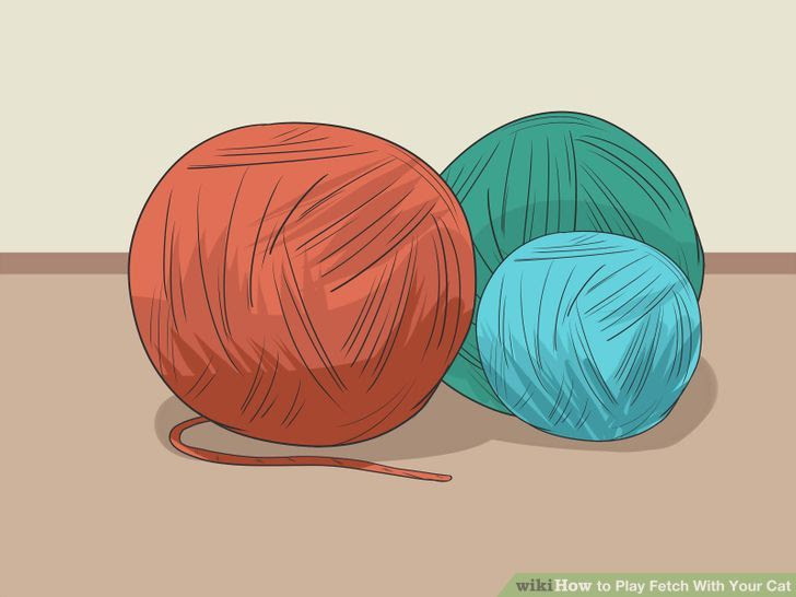 Play Fetch With Your Cat Step 2 Version 4.jpg