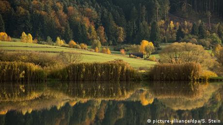 BdT Herbststimmung bei Rottweil (picture-alliance/dpa/S. Stein)