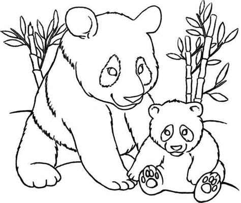 kleurplaten rode panda