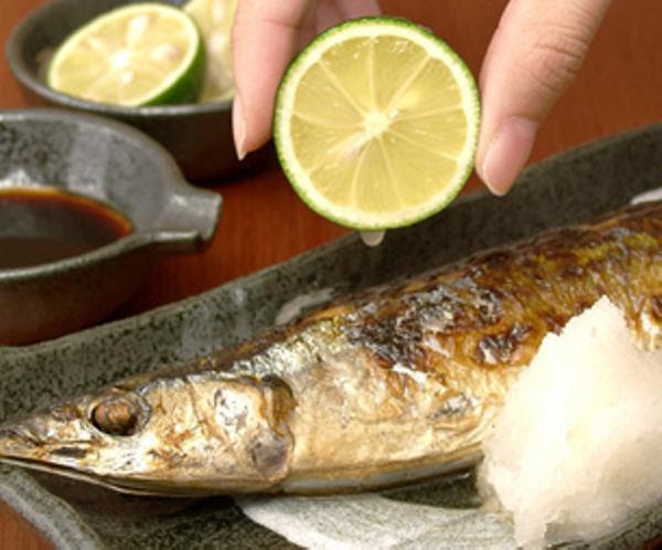 やめろ ヤケドしてんねん 魚へのボケ ボケて Bokete