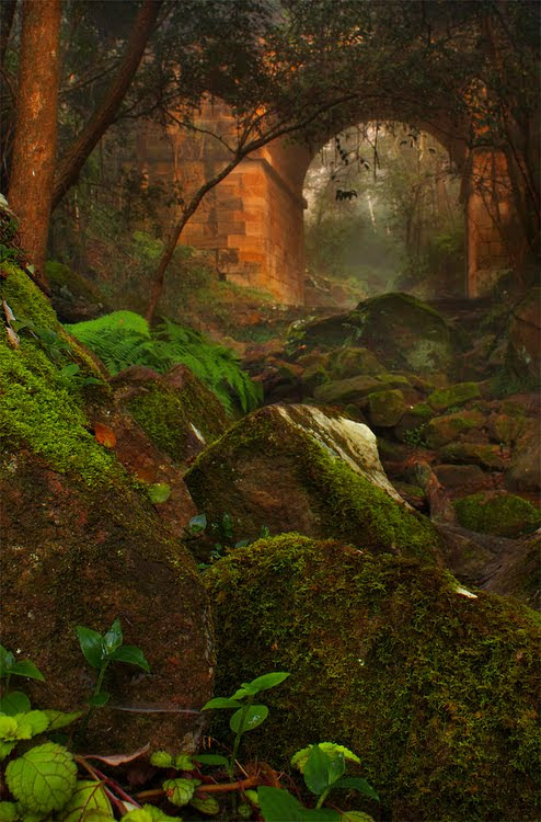 Mystical Bridge, Australia