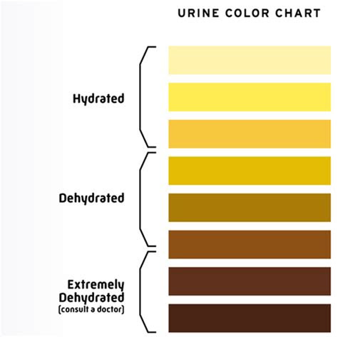 Your fluid intake goal is to make your urine no darker than the colour of # 3 on the chart. spontaneous speech detecting dehydration in two quick steps