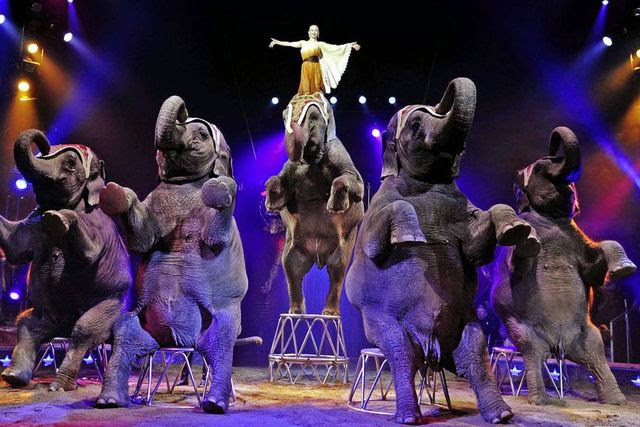 Les éléphants ont fait la renommée du Cirque Knie. Ici, Linna Knie-Sun dans un numéro somptueux, en 2009.