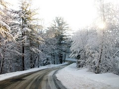Snow_22009b
