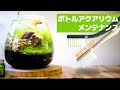 [ベスト] バランスドアクアリウム 水草 467007-バランスドアクアリウム 水草