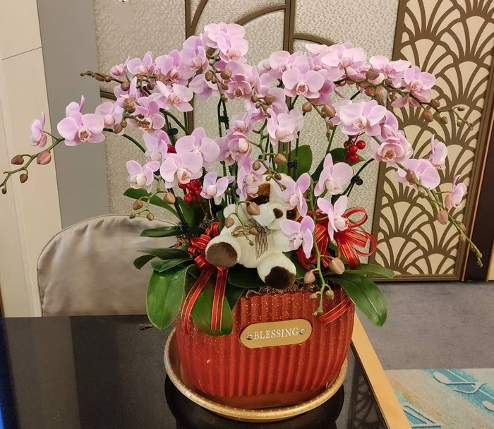 粉飾 愛之樹花屋高雄花店