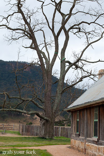 wolgan valley 1832 homestead