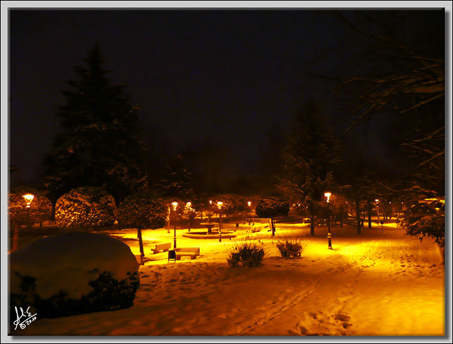 2LA FLORIDA CON NIEVE 2MR