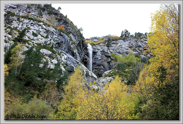 1 IMG_2847 2