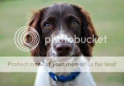 http://i75.photobucket.com/albums/i320/poshtotty_2006/DSC_0094.jpg?t=1280148371