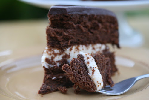 Pumpkin Boston "Scream" Pie