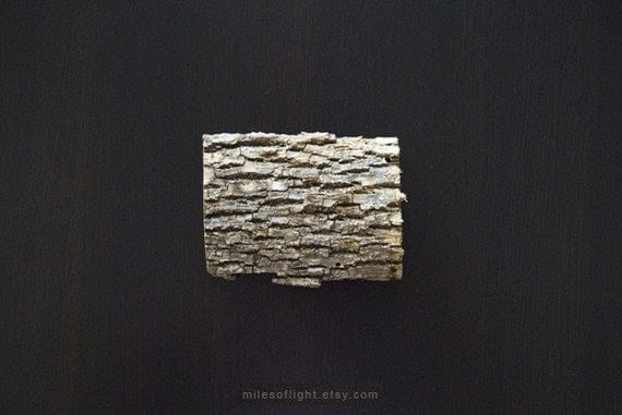 SALE. Brown and Gold N8. 8x10