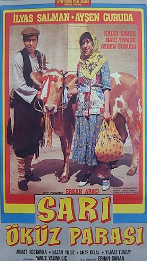 Kép