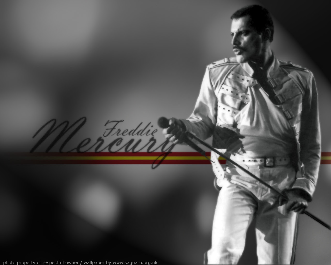 Freddie Mercury Freddie Mercury Wallpaper Fanpop