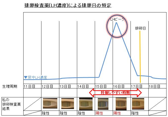 排卵検査薬 Lh による排卵日の特定 妊娠したい 私はこれで妊娠しました
