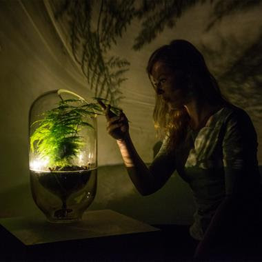 Living Light is an off-grid lamp powered by photosynthesis