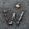 W