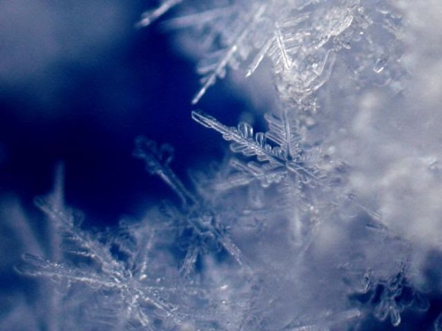 Unique and Beautiful Snowflakes (49 pics)