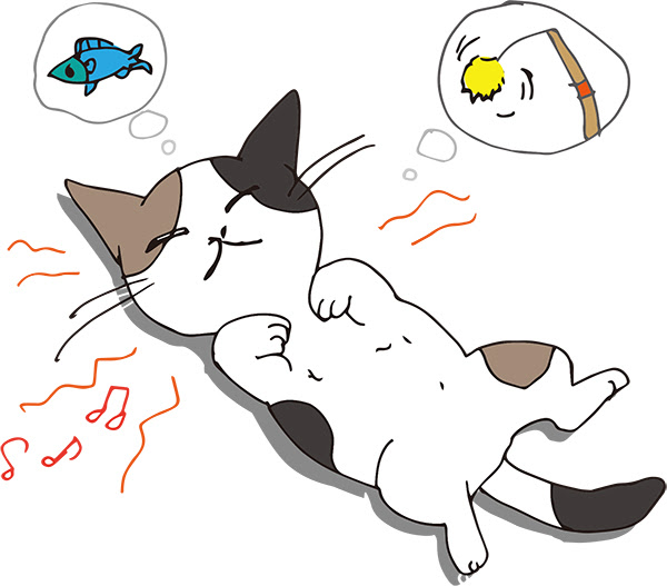 猫の寝言 いびきの理由とは こんないびきは病気かも