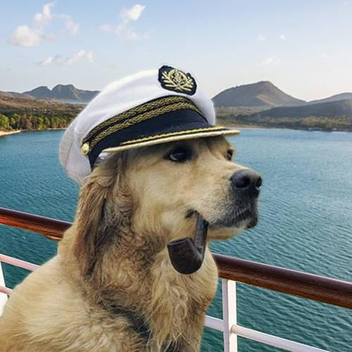 Should Dogs Be Allowed on Cruise Ships?