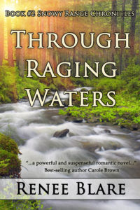 RagingWaters copy