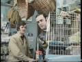 Dead Parrot Sketch Monty Python